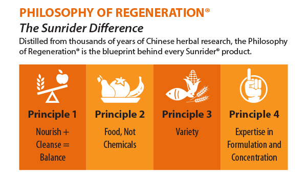 Philosophy of Regeneration Banner